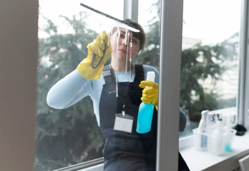 Nettoyage de vitres intérieures et extérieures à Bussy-Albieux